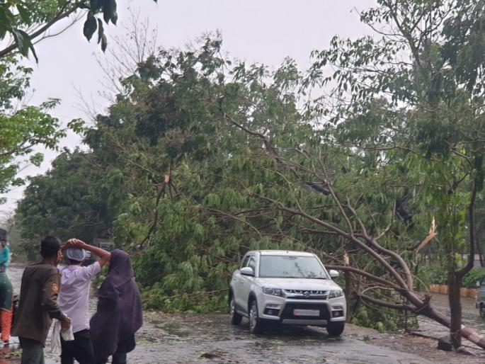 Heavy Rain: Heavy rains lash Baramati; Trees fell in many parts of the city | Heavy Rain: बारामतीला वादळी पावसाने झोडपले; शहरातील अनेक भागात झाडे पडली Heavy Rain: Heavy rains lash Baramati; Trees fell in many parts of the city | Heavy Rain: बारामतीला वादळी पावसाने झोडपले; शहरातील अनेक भागात झाडे पडली