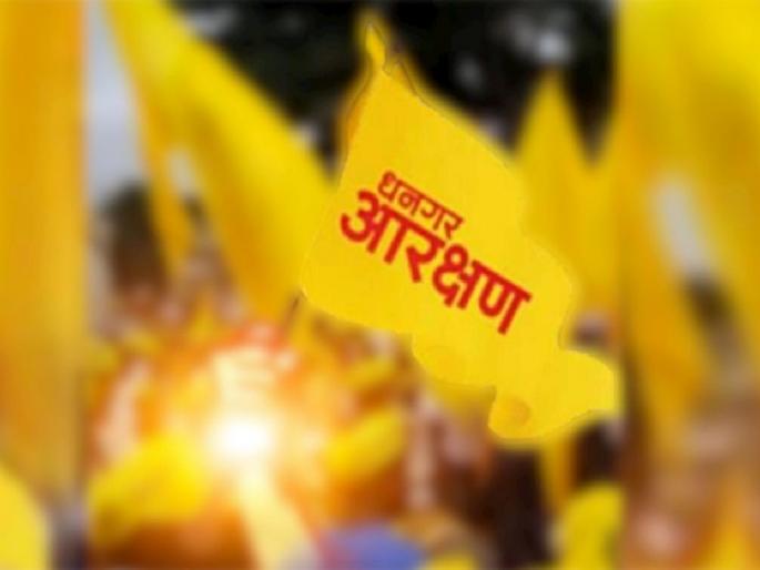 Dhangars are not tribal; The government should release both the reports, Tribal Social Forum demanded | धनगर आदिवासी नाहीत; शासनाने दोन्ही अहवाल जाहीर करावेत, ट्रायबल सोशल फोरमची मागणी Dhangars are not tribal; The government should release both the reports, Tribal Social Forum demanded | धनगर आदिवासी नाहीत; शासनाने दोन्ही अहवाल जाहीर करावेत, ट्रायबल सोशल फोरमची मागणी