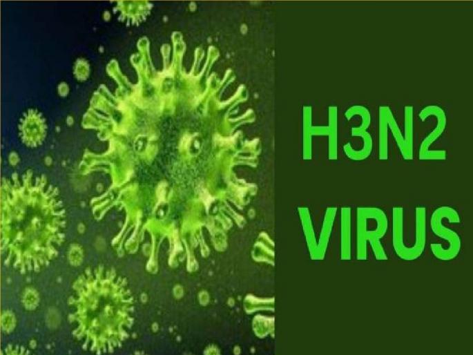H3 N2 in Sangli District Five patients were found | ‘एच३ एन२’ने चिंता वाढविली, सांगली जिल्ह्यात पाच रुग्ण आढळल्याने धाकधूक, पण... H3 N2 in Sangli District Five patients were found | ‘एच३ एन२’ने चिंता वाढविली, सांगली जिल्ह्यात पाच रुग्ण आढळल्याने धाकधूक, पण...