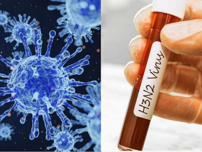 h3n2 two patients found in goa health department issues guidelines | सावधान! 'एच३एन२' दाखल; गोव्यात आढळले दोन रुग्ण, आरोग्य खात्याकडून मार्गदर्शिका जारी h3n2 two patients found in goa health department issues guidelines | सावधान! 'एच३एन२' दाखल; गोव्यात आढळले दोन रुग्ण, आरोग्य खात्याकडून मार्गदर्शिका जारी