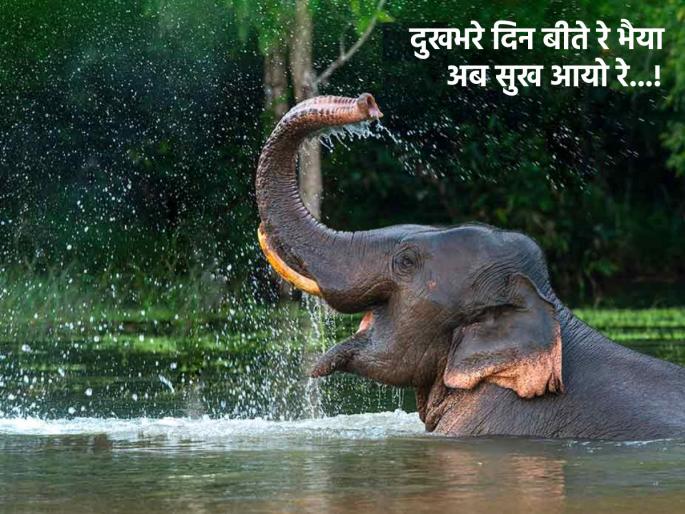 Repeated failures? Remember past success, therein lies your future; Read this story! | वारंवार अपयश येतेय? भूतकाळात मिळालेले यश आठवा, त्यातच तुमचे भविष्य दडले आहे; वाचा ही गोष्ट! Repeated failures? Remember past success, therein lies your future; Read this story! | वारंवार अपयश येतेय? भूतकाळात मिळालेले यश आठवा, त्यातच तुमचे भविष्य दडले आहे; वाचा ही गोष्ट!