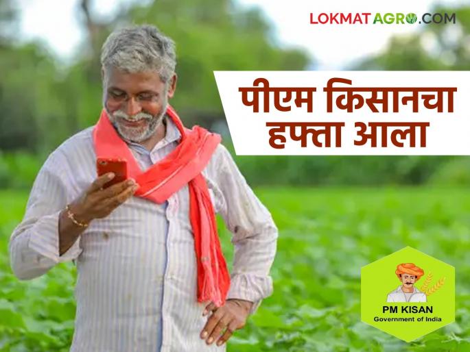 Latest News Pm Kisan hafta PM Kisan 20th installment deposited in farmer's bank account | PM Kisan Hafta : पीएम किसानचा २० वा हफ्ता आला, तुमच्या खात्यात आले का नाही, असे चेक करा? 