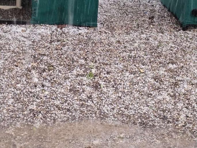 Hail rain with gale force winds in Jalna; Major damage to fruits farming including crops | जालन्यात वादळी वाऱ्यासह गारांचा पाऊस; पिकांसह फळबागांचे मोठे नुकसान Hail rain with gale force winds in Jalna; Major damage to fruits farming including crops | जालन्यात वादळी वाऱ्यासह गारांचा पाऊस; पिकांसह फळबागांचे मोठे नुकसान