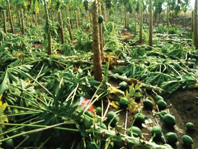 Vada bhagipala, and fruits became soils; Two victims, 10 injured | व-हाडात भाजीपाला, फळे झाली मातीमोल; दोघांचा बळी, १० जखमी  Vada bhagipala, and fruits became soils; Two victims, 10 injured | व-हाडात भाजीपाला, फळे झाली मातीमोल; दोघांचा बळी, १० जखमी