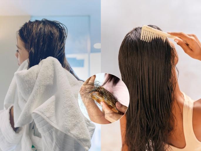 do you comb wet hair? doing this can cause big harm, see what not to do | सिनेमात दाखवतात तसे ओले केस टॉवेलनं झटकता? ओल्या केसांशी हा खेळ, तुमच्यासाठी प्रचंड घातक कारण..