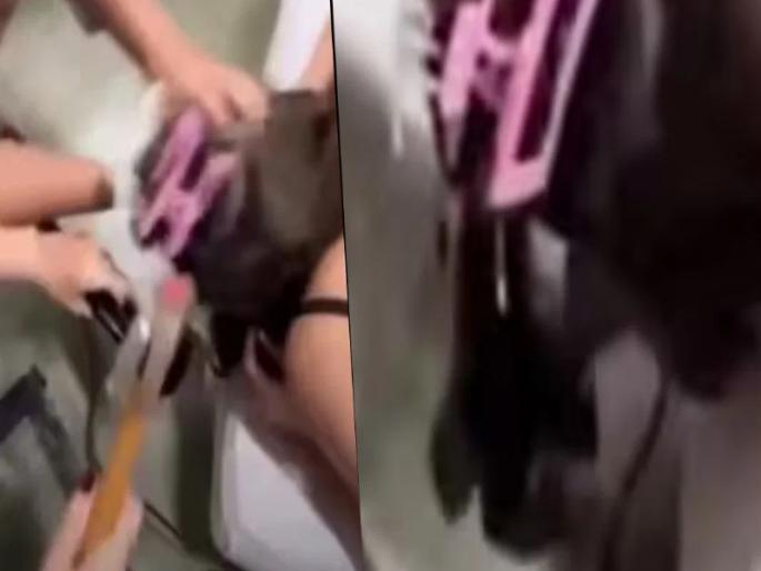 VIRAL VIDEO: A hair curler got stuck in a woman's hair and you will be shocked to see what happened next! | VIRAL VIDEO : महिलेच्या केसांत अडकला हेअर कर्लर अन् पुढे जे झालं ते बघून तुम्हीही व्हाल हैराण!