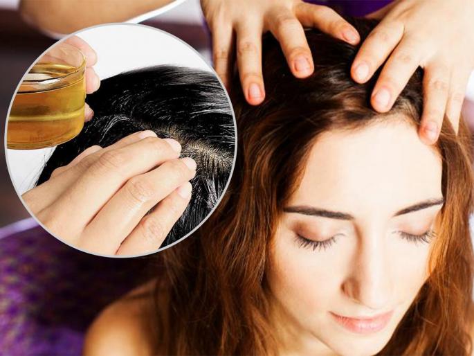 Hair Care Tips: Use only 1 thing in the kitchen regularly, hair will be thick and long ... | Hair Care Tips : स्वयंपाकघरातली फक्त १ गोष्ट नियमित वापरा, केस होतील घनदाट आणि लांबसडक...
