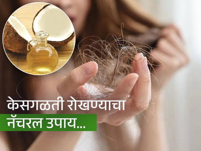 What to mix in coconut oil and apply on hair for stop hair fall | सिल्की सिल्की केस हवेत, खोबऱ्याच्या तेलात ‘या’ ३ गोष्टी मिसळून लावा-केस होतील रेशमासारखे मऊ आणि लांब
