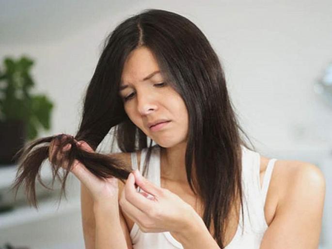 Hair dry and very thin? 5 natural remedies, cool hair texture | केस रुक्ष आणि फार पातळ झालेत? ५ नैसर्गिक उपाय, केसांचा पोत मस्त