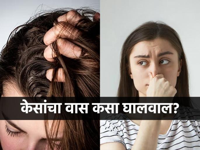 Hair care In Monsoon : How to avoid scalp odour during monsoon | पावसात भिजल्यामुळे केसांना वास येतो? 'हे' सोपे उपाय केसांची समस्या करतील दूर..