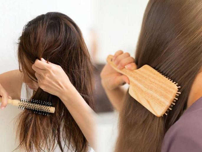 what is a major cause of hair loss? What should we do to prevent your hair from getting tangled? Remember these tips | केस गळण्याचे मोठे कारण म्हणजे गुंता ? केस गुंतू नयेत म्हणून काय करावे ? लक्षात ठेवा या टिप्स what is a major cause of hair loss? What should we do to prevent your hair from getting tangled? Remember these tips | केस गळण्याचे मोठे कारण म्हणजे गुंता ? केस गुंतू नयेत म्हणून काय करावे ? लक्षात ठेवा या टिप्स