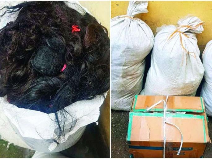 hair robbery in delhi for the first time | ही तर भलतीच 'केस'! शस्त्राच्या धाकानं 25 लाखांचे केस चोरीला hair robbery in delhi for the first time | ही तर भलतीच 'केस'! शस्त्राच्या धाकानं 25 लाखांचे केस चोरीला