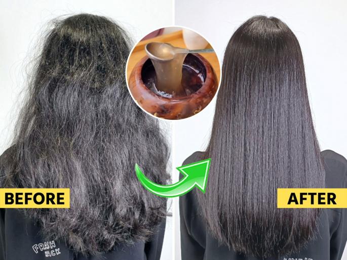 hair botox at Home home remedy for split ends dry hair treatment naturally silky smooth hair tips | केसांना फाटे फुटले- कोरडे झाले? घरीच करा बोटॉक्स, सोपी ट्रिक- खराट्यासारखे केस होतील मऊ-सुळसुळीत
