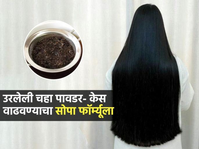5 Uses Of tea leaves : Home Hacks Use Leftover Tea Leaves For Hairs And Gardening | चहा गाळून चहा पावडर फेकू नका! घरातील ५ काम झटपट, सोपी होतील; दाट-सुंदर केस दिसतील