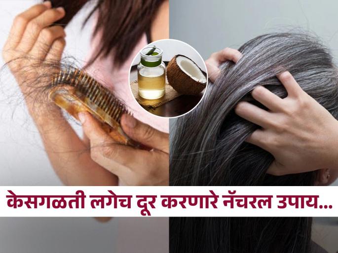 Homemade organic hair oil making process to stop hair loss, itchy scalp, dandruff | केसगळती, कोंडा अशा समस्या लगेच होतील दूर; फक्त खोबऱ्याच्या तेलात टाका 'या' गोष्टी