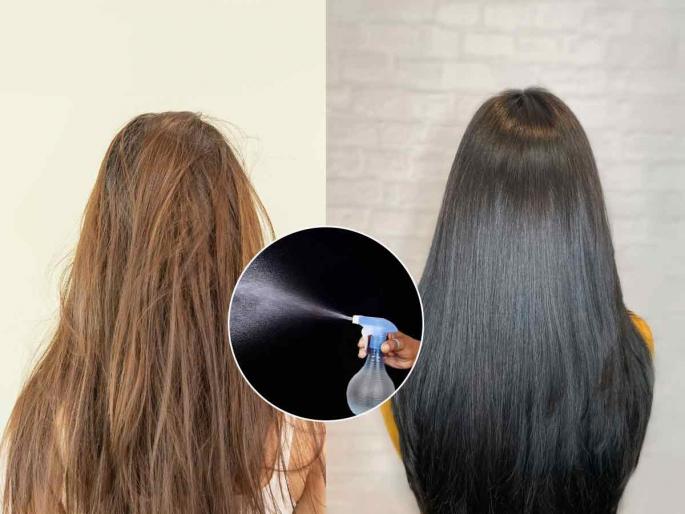 Home Remedy: Skip expensive hair treatments, get long, thick, dark hair for just Rs. 50 | Home Remedy: महागडी हेअर ट्रीटमेंट सोडा, ५० रुपयांत लांबसडक, घनदाट, काळेभोर केस मिळवा 