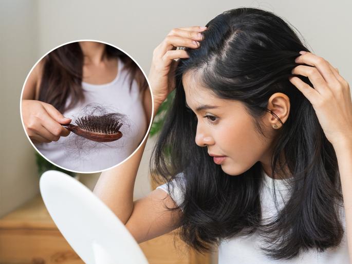 In winter, the scalp becomes dry and hair loss increases. If these special foods are regularly included in the diet, the hair remains strong and beautiful. | हिवाळ्यात टाळू कोरडा होऊन केस गळती वाढते, 'हे' खास पदार्थ आहारात नियमित असतील तर केस राहतात मजबुत - सुंदर In winter, the scalp becomes dry and hair loss increases. If these special foods are regularly included in the diet, the hair remains strong and beautiful. | हिवाळ्यात टाळू कोरडा होऊन केस गळती वाढते, 'हे' खास पदार्थ आहारात नियमित असतील तर केस राहतात मजबुत - सुंदर