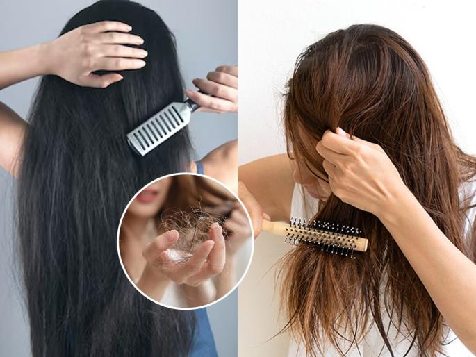 hairfall problem? may be you are using wrong comb? Avoid these mistakes while combing your hair | केस गळतात कारण तुम्ही कंगवा चुकीचा वापरताय! ‘असा’ निवडा योग्य कंगवा, केस तुटणं थांबेल