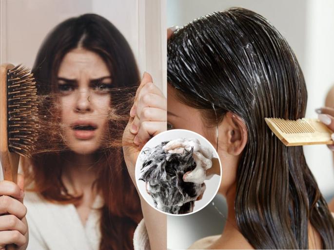 Common daily habits that cause hair fall Hair care tips to avoid early baldness Reasons for excessive hair fall while combing | केस विंचरताना हातात मोठी गुंतवळ येते? ६ सवयींमुळे गळतात केस-टक्कलही पडू शकतं लवकर