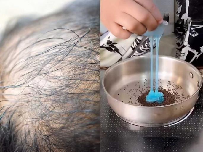 best home remedy to stop hair fall naturally how to use tea powder for hair growth natural treatment for damaged and dry hair | केस सतत गळतात, तुटतात- फाटेही फुटले? चहा पावडरमध्ये मिसळा १ गोष्टी, डॅमेज केस होतील सुंदर- घनदाट