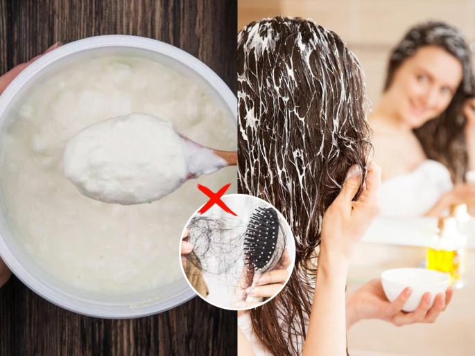 How to use curd for hair fall control at Home Best home remedies to stop hair fall instantly Natural hair mask for reducing hair fall and dandruff | केस प्रमाणापेक्षा जास्त गळतात? दह्यात कालवून लावा १ गोष्ट, विंचरताना कंगव्याला एकही केस चिकटणार नाही