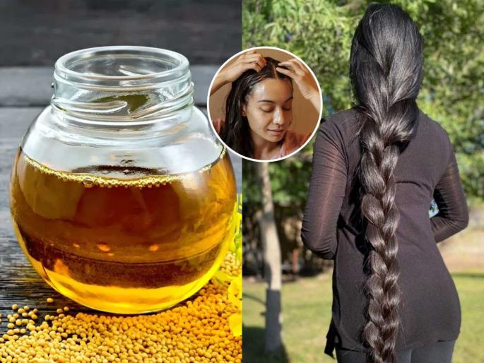 How to use methi seeds for hair growth at Home Benefits of fenugreek seed oil for dandruff and hair fall Homemade fenugreek hair oil for thick and shiny hair | स्वयंपाकघरातील पिवळे दाणे तेलात मिसळा, आठवड्यातून ३ वेळा केसांना लावा- सगळ्याच तक्रारी होतील गायब!