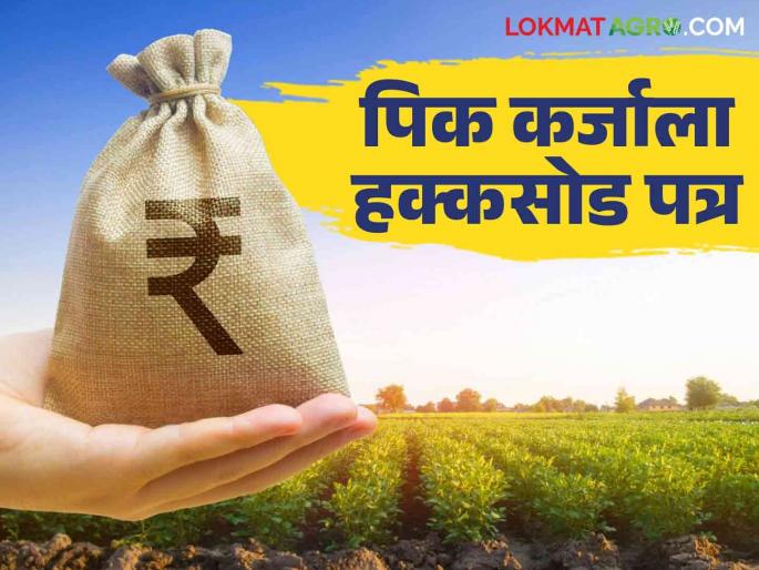 Hakka Sod Patra : Relinquishment deed make problem in crop loan; how to do relinquishment deed | Hakka Sod Patra : पीक कर्जासाठी हक्कसोडपत्राची साडेसाती; कसे करतात हक्कसोड पत्र? Hakka Sod Patra : Relinquishment deed make problem in crop loan; how to do relinquishment deed | Hakka Sod Patra : पीक कर्जासाठी हक्कसोडपत्राची साडेसाती; कसे करतात हक्कसोड पत्र?