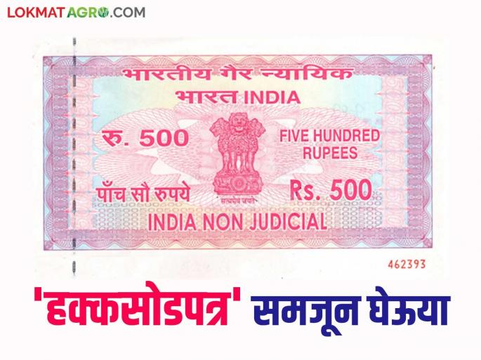 Hakka Sod Patra : The Relinquishment Deed was granted but the name was not removed; Why? Read in detail | Hakka Sod Patra : हक्कसोडपत्र केले परंतु नाव कमी झाले नाही; कशामुळे? वाचा सविस्तर Hakka Sod Patra : The Relinquishment Deed was granted but the name was not removed; Why? Read in detail | Hakka Sod Patra : हक्कसोडपत्र केले परंतु नाव कमी झाले नाही; कशामुळे? वाचा सविस्तर