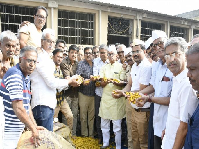 New Turmeric deals start at Sangli Market Yard on Tuesday, 10 thousand 100 rupees to 7 thousand 500 rupees per quintal | मुहूर्ताच्या सौद्यात हळदीला झळाळी, सांगलीत क्विंटलला 'इतका' तर राजापुरीला उच्चांकी दर New Turmeric deals start at Sangli Market Yard on Tuesday, 10 thousand 100 rupees to 7 thousand 500 rupees per quintal | मुहूर्ताच्या सौद्यात हळदीला झळाळी, सांगलीत क्विंटलला 'इतका' तर राजापुरीला उच्चांकी दर