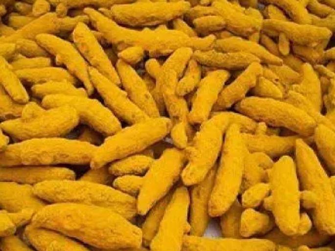 The government approved the establishment of the first Turmeric Research Center in Maharashtra at in Wasmat Hingoli District | हळदीचे ब्रॅण्डिंग सांगलीला, संशोधन केंद्र मात्र हिंगोलीला The government approved the establishment of the first Turmeric Research Center in Maharashtra at in Wasmat Hingoli District | हळदीचे ब्रॅण्डिंग सांगलीला, संशोधन केंद्र मात्र हिंगोलीला