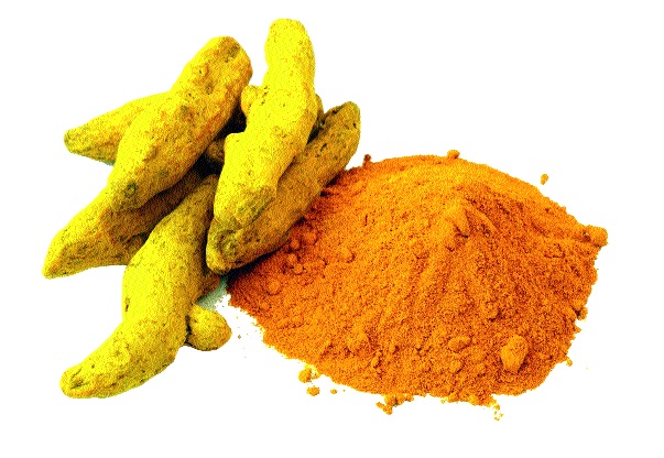 Sangli's turf rejected the GI standards | सांगलीच्या हळदीला जीआय मानांकन फेटाळले