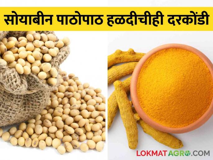 Following Soybeans, Turmeric prices also slowed down; Farmers are worried due to falling prices of agricultural products | सोयाबीन पाठोपाठ हळदीचीही दरकोंडी, आवक मंदावली; शेतमालाचे भाव गडगडल्याने शेतकरी चिंताग्रस्त
