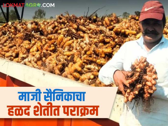 An ex-soldier from Satara district achieved great success in turmeric farming; produced 15 quintals in 20 gunthas | सातारा जिल्ह्यातील माजी सैनिकाने हळद शेतीत केली कमाल; २० गुंठ्यांत काढले १५ क्विंटल उत्पादन An ex-soldier from Satara district achieved great success in turmeric farming; produced 15 quintals in 20 gunthas | सातारा जिल्ह्यातील माजी सैनिकाने हळद शेतीत केली कमाल; २० गुंठ्यांत काढले १५ क्विंटल उत्पादन