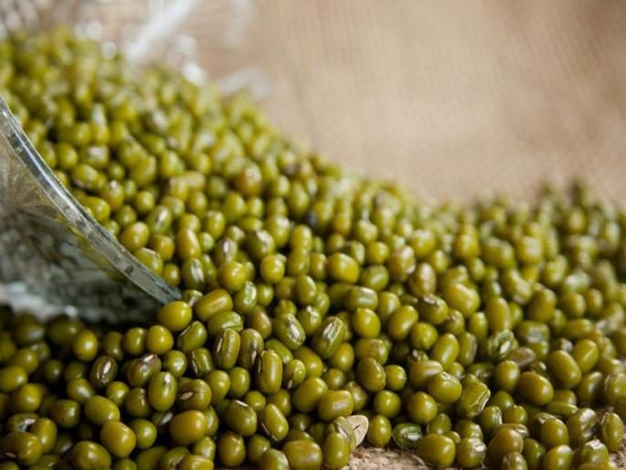 Half of the production of puls due to loadshading in Jalgaon | जळगावात भारनियमनामुळे दालफडमधील उत्पादन निम्म्यावर Half of the production of puls due to loadshading in Jalgaon | जळगावात भारनियमनामुळे दालफडमधील उत्पादन निम्म्यावर