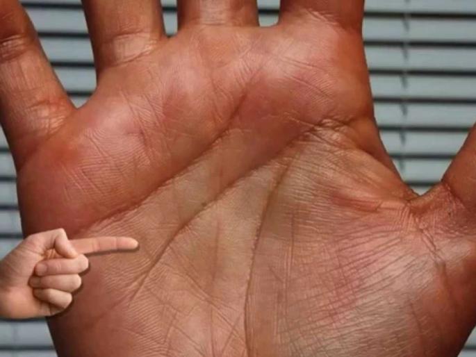 palmistry special money line in hand which will be helpful for money | तुमच्या हातावर धनरेषा कुठे असते? जाणून घ्या 'असा' योग जो तुम्हाला बनवेल धनवान palmistry special money line in hand which will be helpful for money | तुमच्या हातावर धनरेषा कुठे असते? जाणून घ्या 'असा' योग जो तुम्हाला बनवेल धनवान