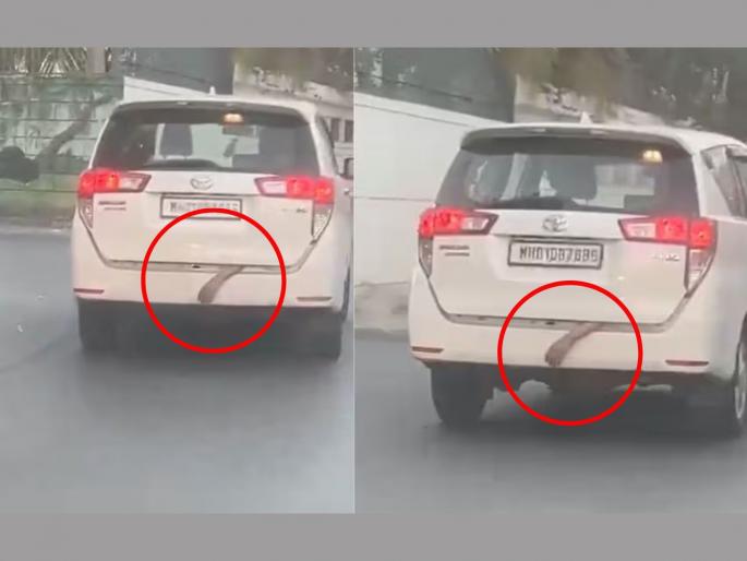 Hand hanging out of car trunk; Investigation reveals reason for reeling after Video went Viral | Viral Video: कारच्या डिक्कीतून बाहेर लटकला हात; रील करण्याचे कारण तपासातून आले समोर Hand hanging out of car trunk; Investigation reveals reason for reeling after Video went Viral | Viral Video: कारच्या डिक्कीतून बाहेर लटकला हात; रील करण्याचे कारण तपासातून आले समोर