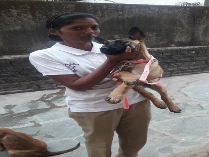 Video: 5 new dogs and first female handler in dog squads | Video : डॉग स्कॉडमध्ये ५ नवे डॉग अन् पहिल्यांदा महिला हॅण्डलर  Video: 5 new dogs and first female handler in dog squads | Video : डॉग स्कॉडमध्ये ५ नवे डॉग अन् पहिल्यांदा महिला हॅण्डलर