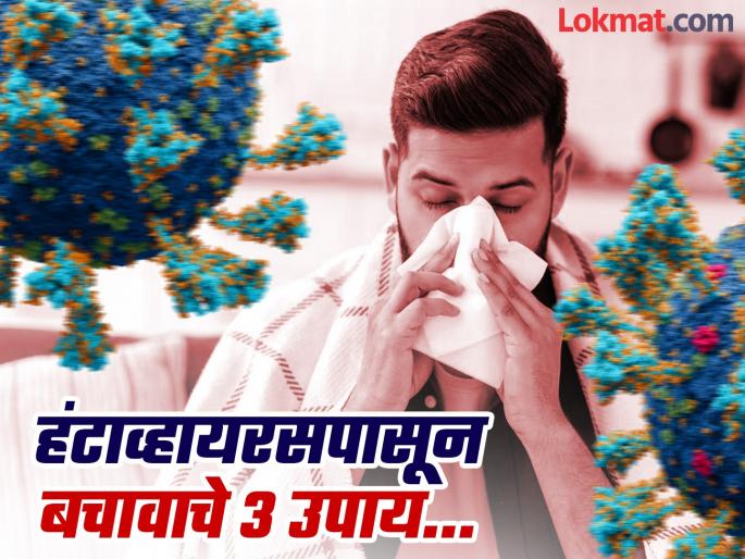 Hantavirus : How Hantavirus spread and 3 critical mistakes to avoid for your safety | हवेत कसा पसरतो हंटाव्हायरस? कोविडसारखा धोका नाही, पण चुकूनही करून 'नका' या ३ चुका.... Hantavirus : How Hantavirus spread and 3 critical mistakes to avoid for your safety | हवेत कसा पसरतो हंटाव्हायरस? कोविडसारखा धोका नाही, पण चुकूनही करून 'नका' या ३ चुका....