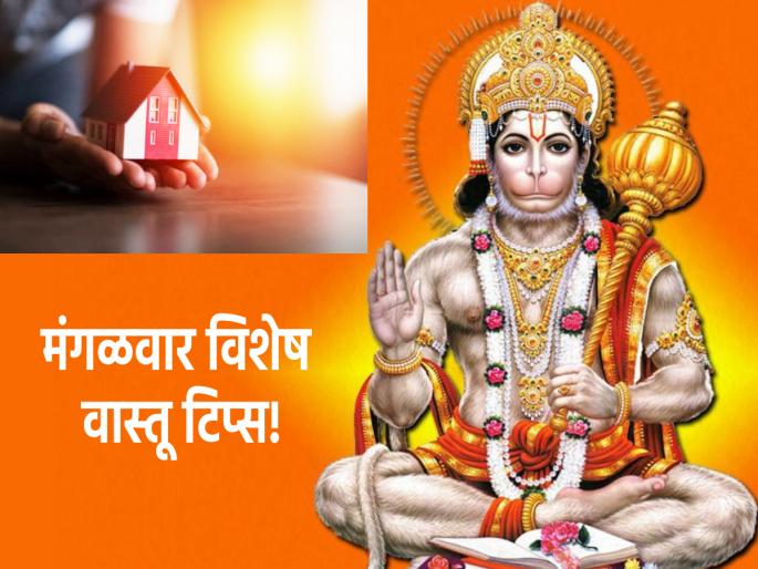 Tuesday Vastu Tips: Tuesday's 'These' Remedies Will Remove House Afflictions, Read Astrological Solutions! | Tuesday Vastu Tips: मंगळवारचे 'हे' उपाय दूर करतील घराचे अपाय, वाचा ज्योतिष शास्त्राने दिलेले तोडगे! Tuesday Vastu Tips: Tuesday's 'These' Remedies Will Remove House Afflictions, Read Astrological Solutions! | Tuesday Vastu Tips: मंगळवारचे 'हे' उपाय दूर करतील घराचे अपाय, वाचा ज्योतिष शास्त्राने दिलेले तोडगे!