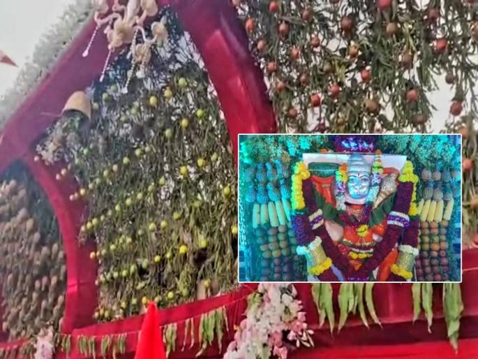 Hanuman temple at Shelar has been decorated with special decorations of fruits and flowers | शेलार येथील हनुमान मंदिराला फळा फुलांची विशेष सजावट आरास Hanuman temple at Shelar has been decorated with special decorations of fruits and flowers | शेलार येथील हनुमान मंदिराला फळा फुलांची विशेष सजावट आरास