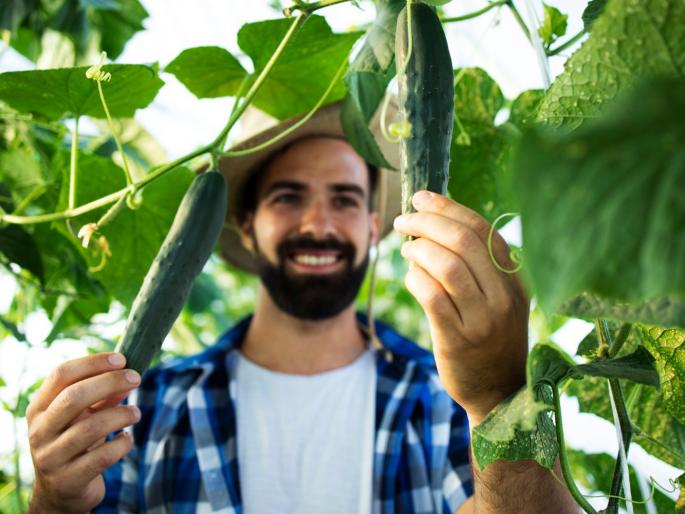 Arogya perani type A and type B personality in farmers revels | आरोग्य पेरणी -शेतकरी मित्रांनो, तुमचं व्यक्तिमत्व कुठल्या प्रकारचं? जाणून घ्या रहस्य Arogya perani type A and type B personality in farmers revels | आरोग्य पेरणी -शेतकरी मित्रांनो, तुमचं व्यक्तिमत्व कुठल्या प्रकारचं? जाणून घ्या रहस्य