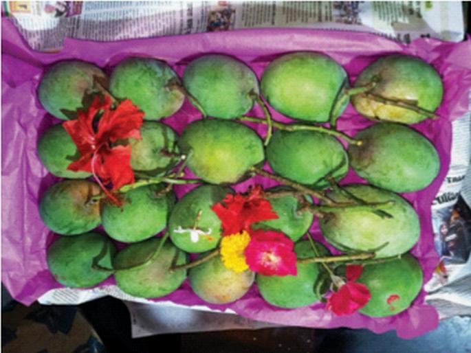 Hapus appeared in the market committee! | बाजारसमितीमध्ये देवगड हापूस अवतरला! Hapus appeared in the market committee! | बाजारसमितीमध्ये देवगड हापूस अवतरला!