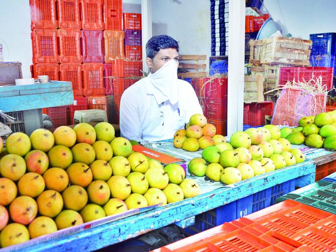 The hapus season is now in its final stages | हापूसचा हंगाम आता अखेरच्या टप्प्यात