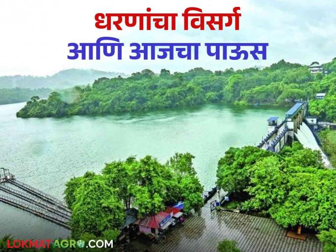 Latest News Maharashtra Rain Update Heavy rain in Some parts of maharashtra, know where how much rain and discharge  | Maharashtra Rain Update : राज्यात अनेक भागात मुसळधार, जाणून घ्या कुठे किती पाऊस आणि विसर्ग? 