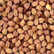 Gram procurement started by Nafed at Malegaon | मालेगाव येथे नाफेडमार्फत हरभरा खरेदीस प्रारंभ! Gram procurement started by Nafed at Malegaon | मालेगाव येथे नाफेडमार्फत हरभरा खरेदीस प्रारंभ!