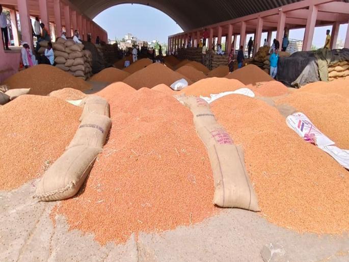 Risk with farmers, mutual sale of 232 quintal gram; Offense against shopping center official | शेतकऱ्यांसोबत धोका, २३२ क्विंटल हरभऱ्याची परस्पर विक्री; खरेदी केंद्राच्या अधिकाऱ्यावर गुन्हा Risk with farmers, mutual sale of 232 quintal gram; Offense against shopping center official | शेतकऱ्यांसोबत धोका, २३२ क्विंटल हरभऱ्याची परस्पर विक्री; खरेदी केंद्राच्या अधिकाऱ्यावर गुन्हा