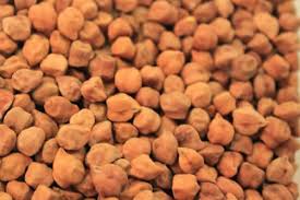 Market starts reclining after harvesting again! | काढणी हंगाम सुरू होताच बाजारात हरभऱ्याचे भाव पुन्हा कोसळले! Market starts reclining after harvesting again! | काढणी हंगाम सुरू होताच बाजारात हरभऱ्याचे भाव पुन्हा कोसळले!