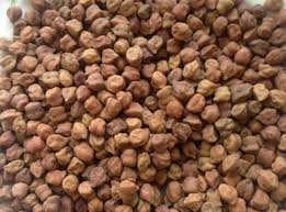 Procurment of gram less than 800 rupees from MSP | हमीदरापेक्षा ८०० रुपये कमी दराने हरभरा खरेदी Procurment of gram less than 800 rupees from MSP | हमीदरापेक्षा ८०० रुपये कमी दराने हरभरा खरेदी