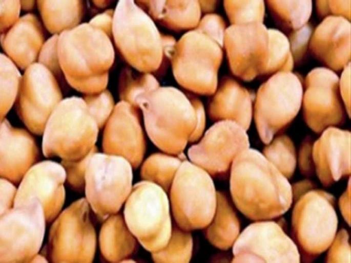 gram selling makes hurdle in Girl's marriage, Changed date due to not started guaranteed price centre | मुलीच्या विवाहास हरभरा विक्रीचा अडसर; बदलाव लागली तारीख gram selling makes hurdle in Girl's marriage, Changed date due to not started guaranteed price centre | मुलीच्या विवाहास हरभरा विक्रीचा अडसर; बदलाव लागली तारीख