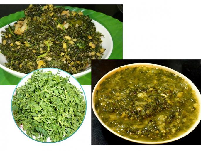 Tender chickpea leaves in diet is tasty way to live healthy. Here are 3 tasty recipes of tender chickpea leaves | हरबऱ्याच्या कोवळ्या पानांच्या 3 चमचमीत  गावरान भाज्या; पारंपरिक न्यूट्रीशनल चविष्ट जेवण